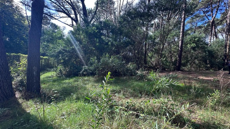 Lote en venta en La Reserva de Montoya